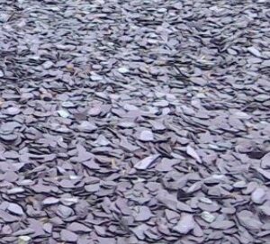 Plum Slate Chippings 20mm
