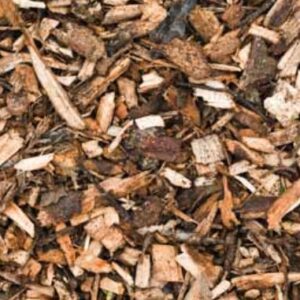 Woodland Bark