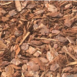 Pine Play Bark